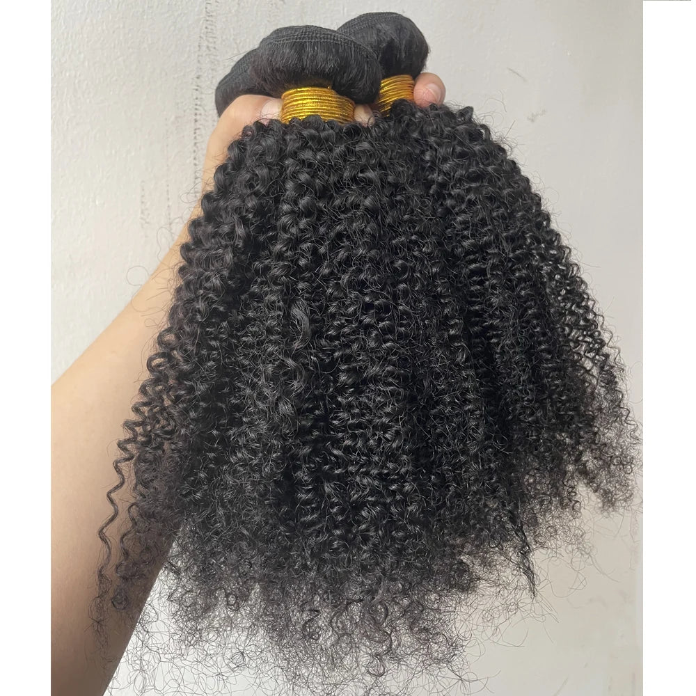 Brazilian Afro Kinky Curly Virgin Human Hair Weave – Natural Color, Double-Weft Bundles