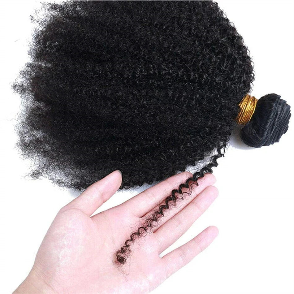 Brazilian Afro Kinky Curly Virgin Human Hair Weave – Natural Color, Double-Weft Bundles