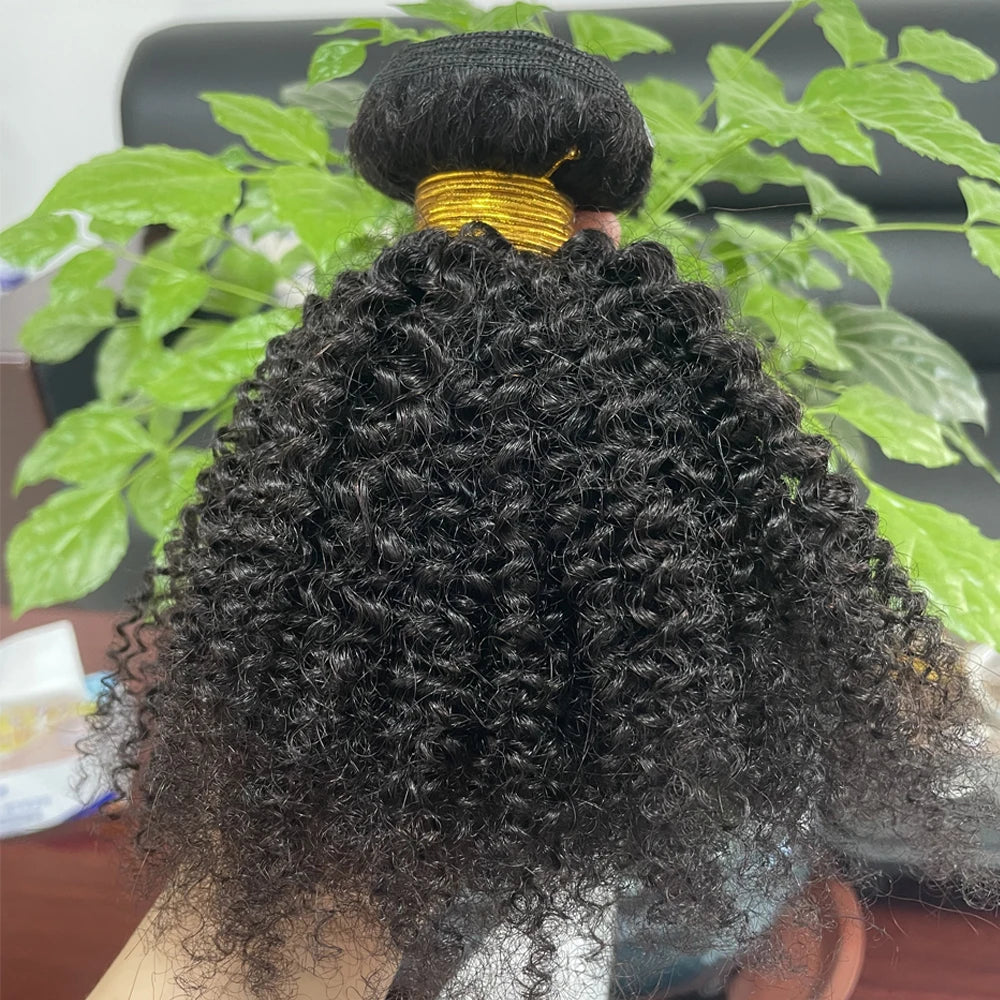 Luxury Brazilian Afro Kinky Curly Human Hair Bundles – Premium Natural Texture, Full & Voluminous Curls, 8–24”