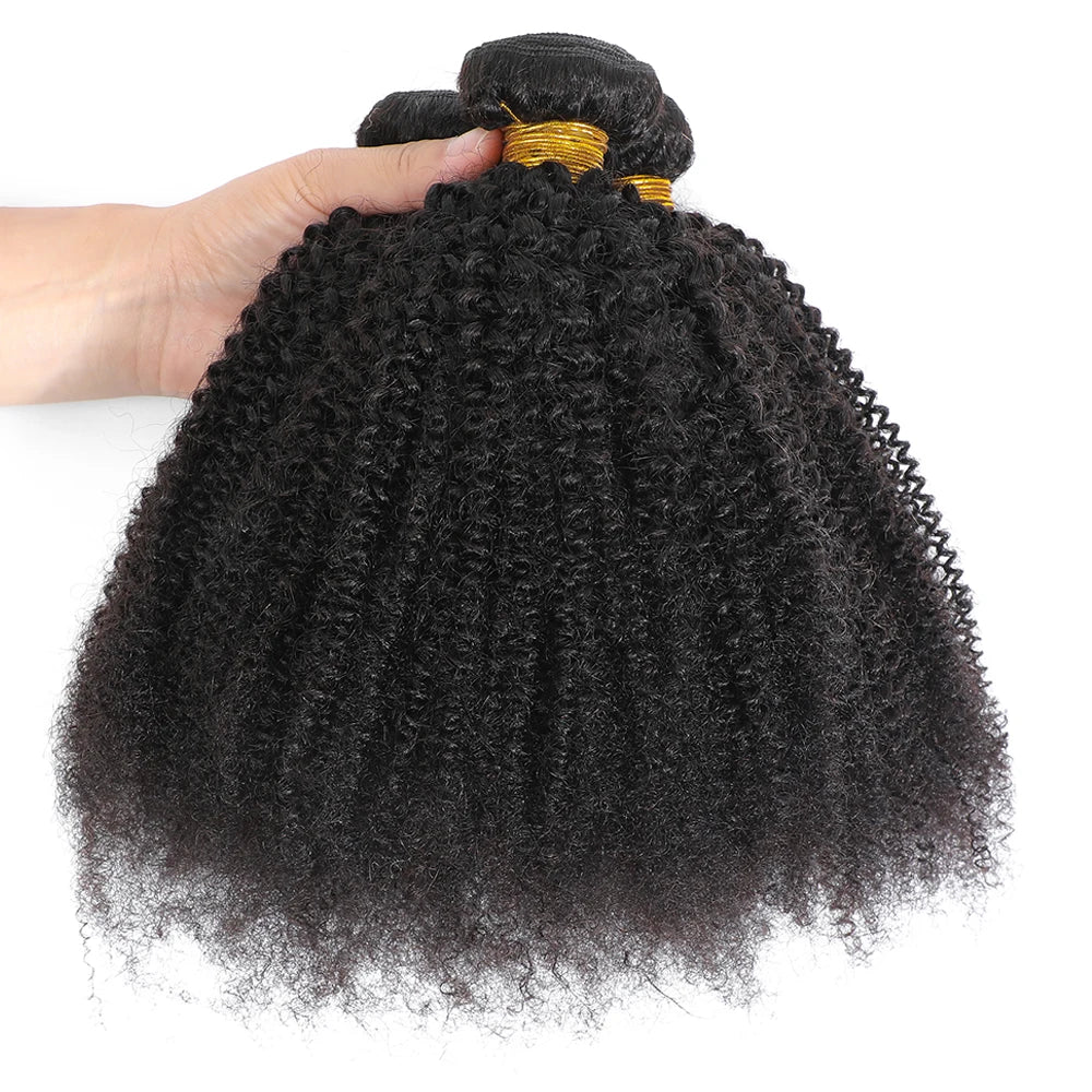 Luxury Brazilian Afro Kinky Curly Human Hair Bundles – Premium Natural Texture, Full & Voluminous Curls, 8–24”