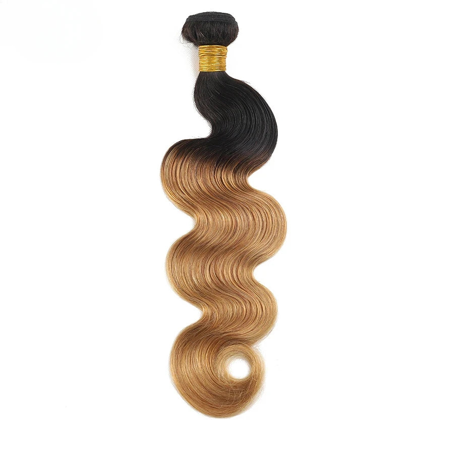 Ombre Body Wave Human Raw Indian Hair Bundles Hair Extensions
